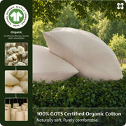 Organic Cotton Pillowcases