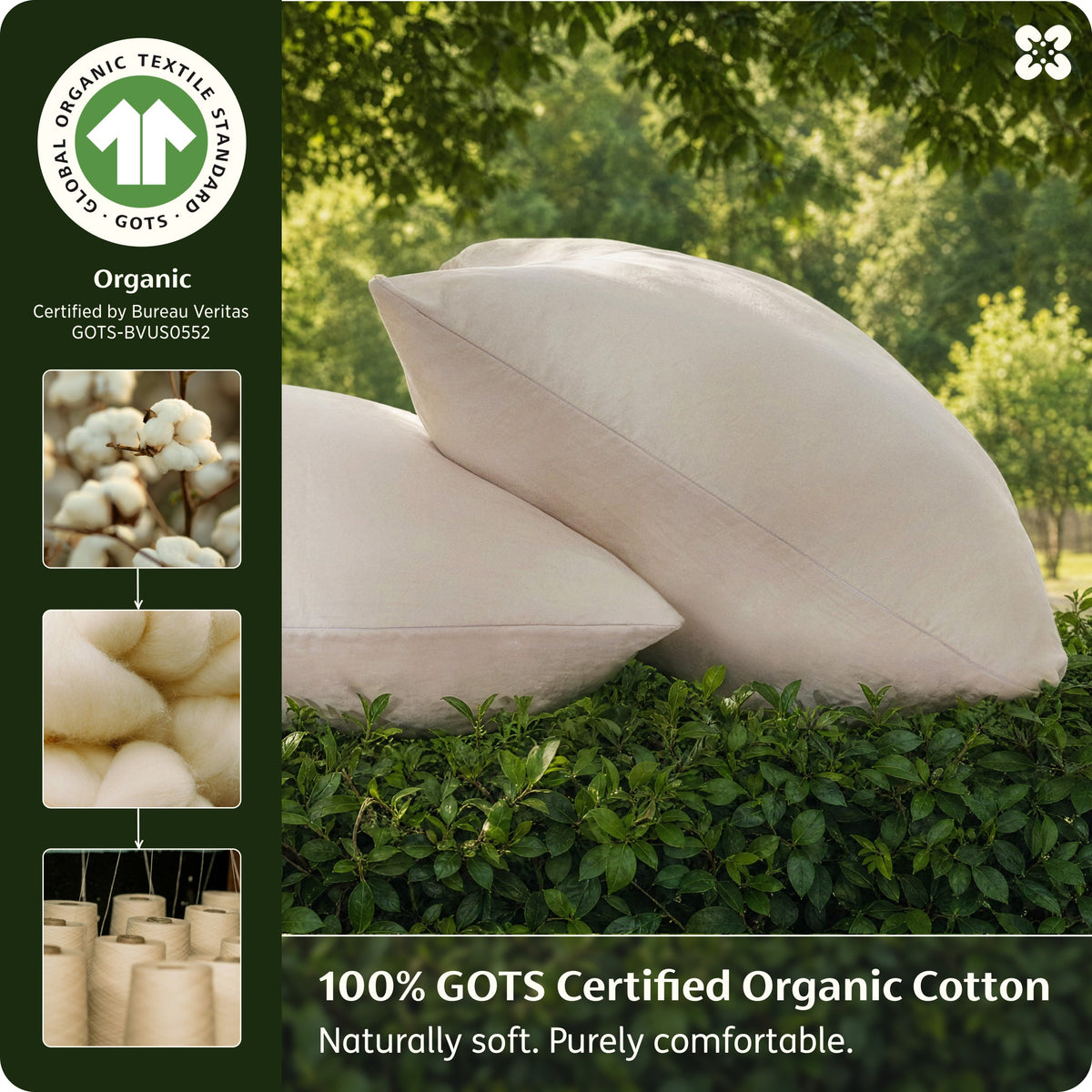 Organic Cotton Pillowcases
