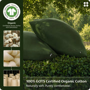 Organic Cotton Pillowcases
