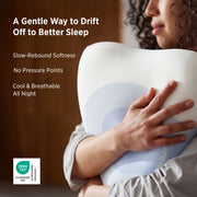 OLoop Cervical Pillow Set of 2