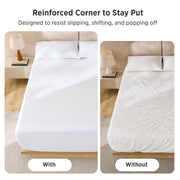 Stay Put Sheet Set