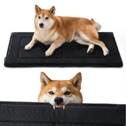 Chew-Resistant Comfy Dog Mat
