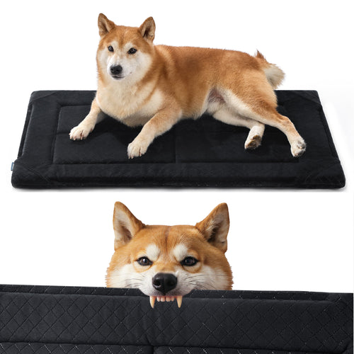 Chew-Resistant Comfy Dog Mat